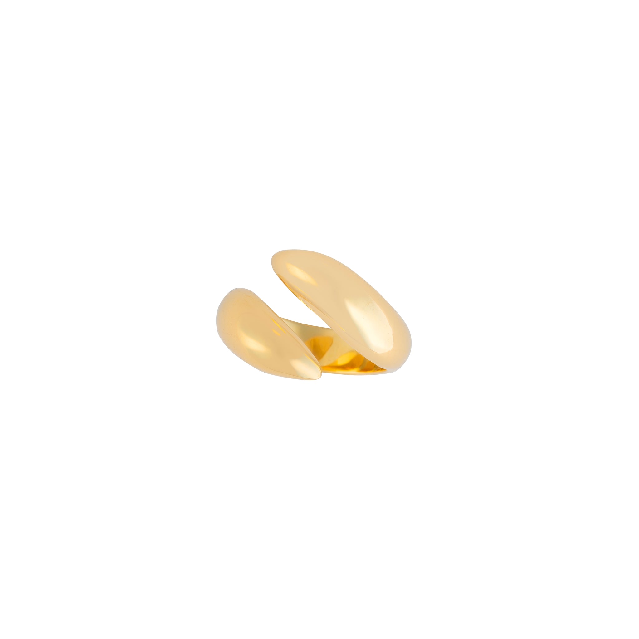 Golden Spiral Ring