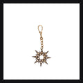 Starburst Brown Diamond Charm