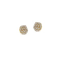 Swirl Earrings