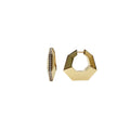 Swing Geometric Hoops